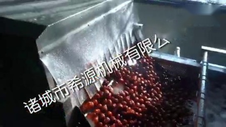 春季源頭廠貨 水果蔬菜去農(nóng)藥殘留清洗機